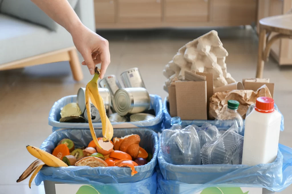 TBERJ6 household waste sorting