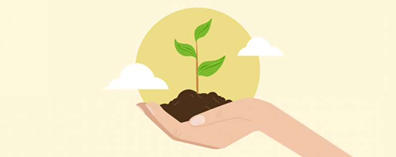 The Environmental Benefits of Elearning