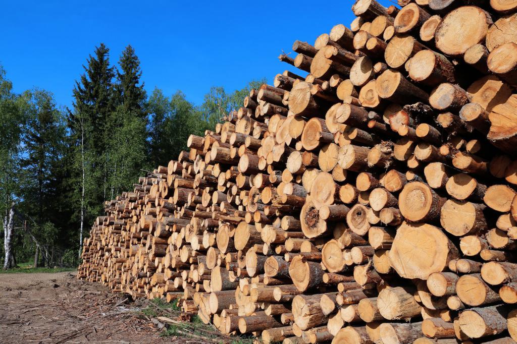 fotolia kingan timber forestry