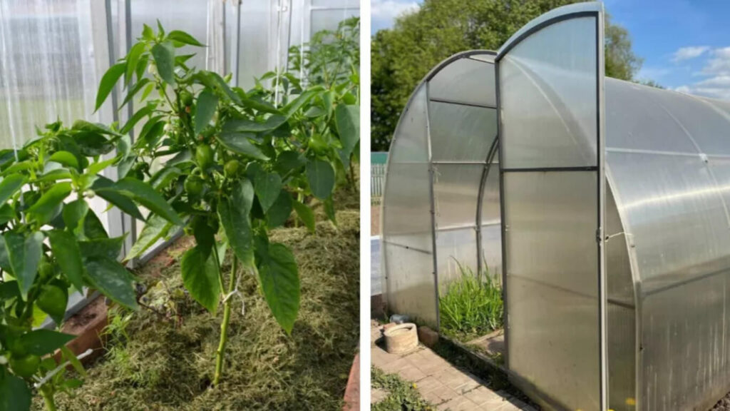 Effective Charcoal Disposal EcoFriendly Methods