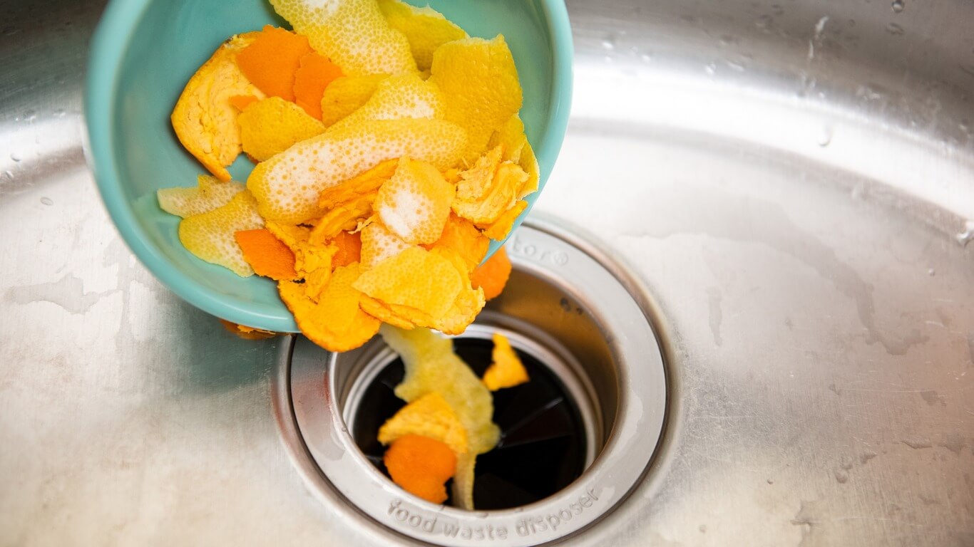 Orange Peels Garbage Disposal