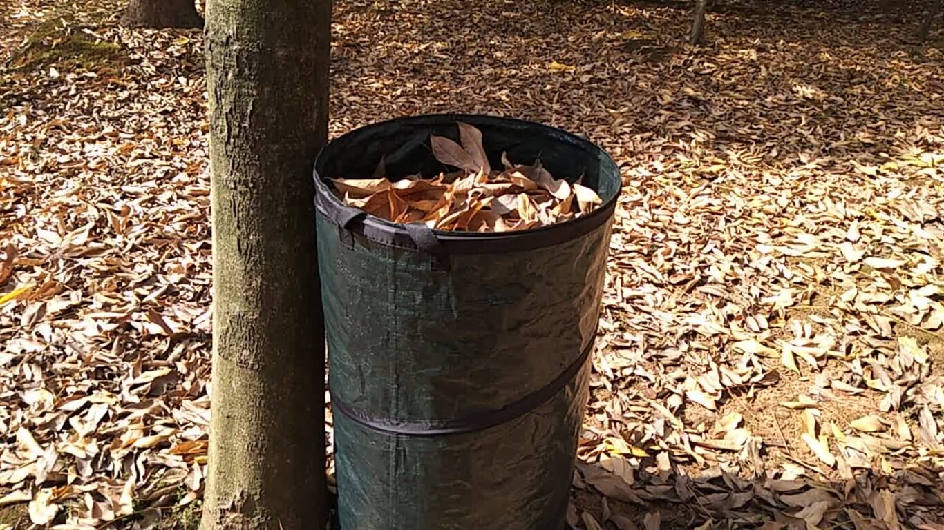 Leaf Disposal. Helpful instructions for cleaning up foliage