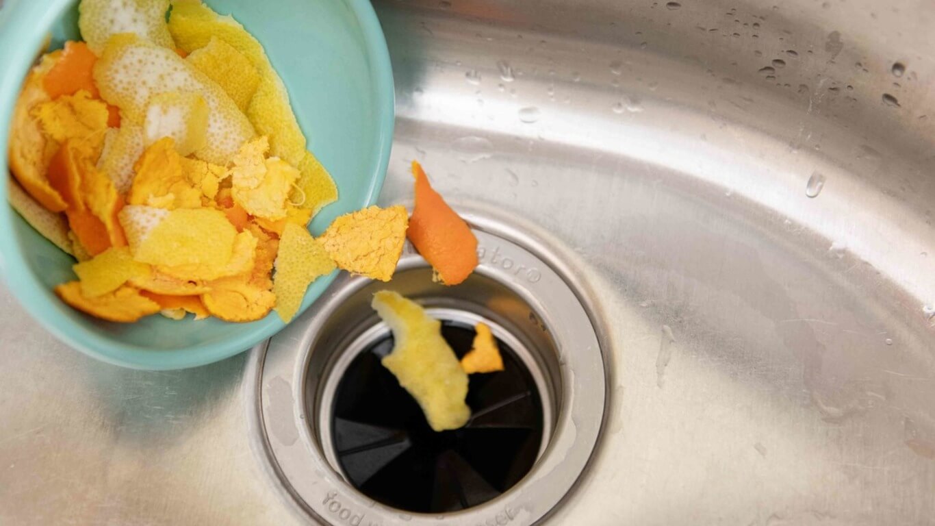 Orange Peels Garbage Disposal