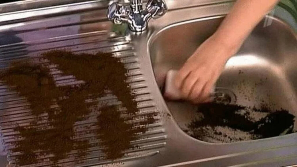 Can You Put Coffee Grounds Down The Garbage Disposal? 7 Steps