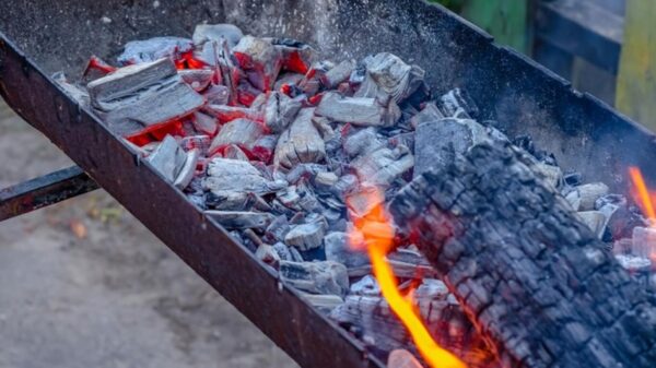 Effective Charcoal Disposal Eco Friendly Methods