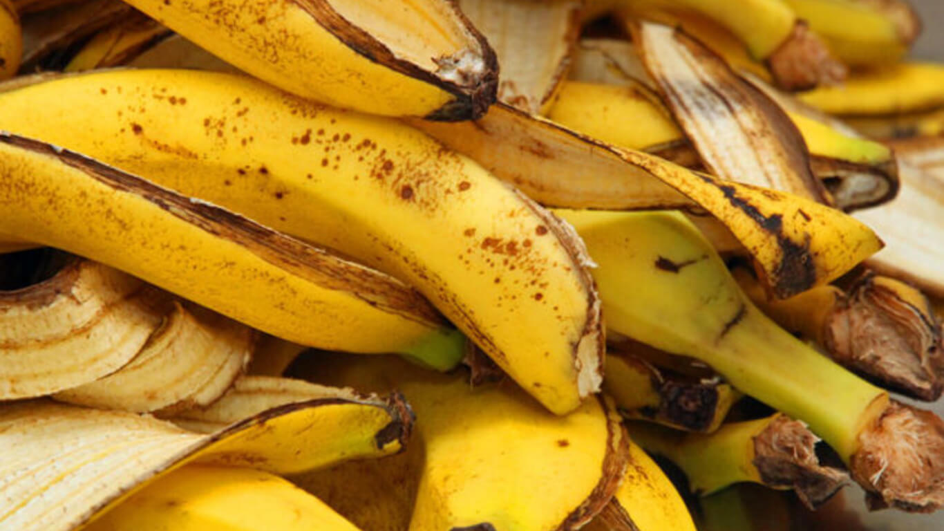 Banana peels in garbage disposal. Successful ways to dispose