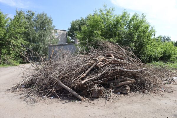 Tree Branches Disposal - How best to dispose of wood debris?