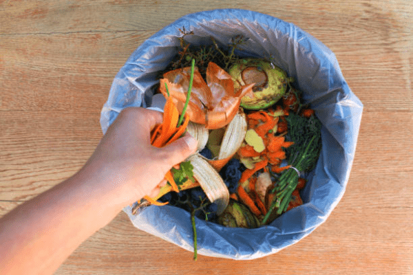 How to make garbage disposal smell better