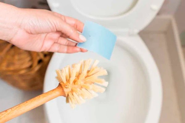 Eco-Friendly Toilet Cleaner: Top 9 Green Awesome Solutions